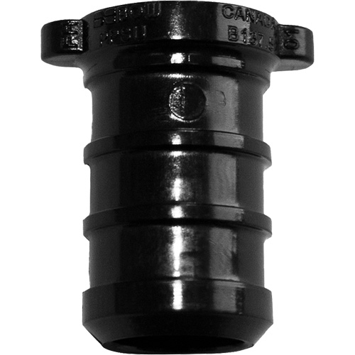 Pipe Plug, Pipe, 1/2" Dia., Polyalloy NRZ Safety Inc.