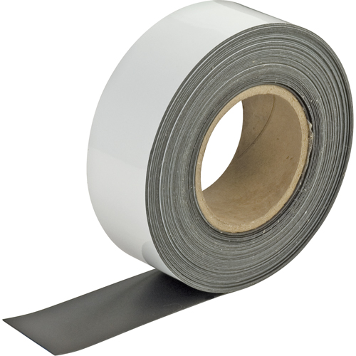 Write-On Magnetic Tags, Magnetic, 600" L x 2" W NRZ Safety Inc.