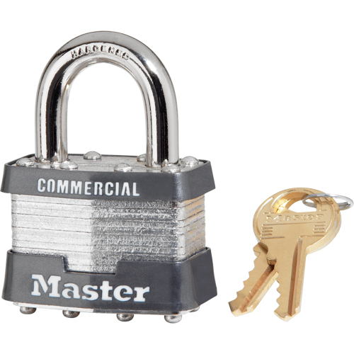 Cadenas lamin&eacute;, Argent, Cl&eacute;s identiques, Acier lamin&eacute;, Largeur de 1-3/4" NRZ Safety Inc.