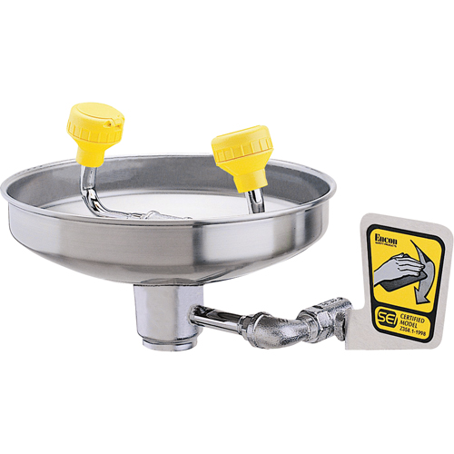 Douche oculaire avec t&ecirc;tes en polyac&eacute;tal, Installation Montage mural, Bol Acier inoxydable NRZ Safety Inc.