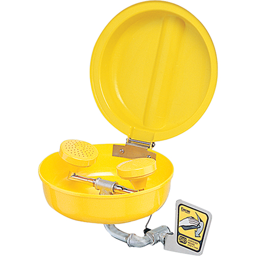 Douche oculaire/faciale avec couvercle, Installation Montage mural, Bol Plastique NRZ Safety Inc.