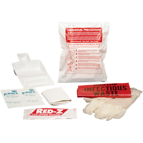 Fluid Spill Clean-Up Kit, Hazmat, Bag NRZ Safety Inc.