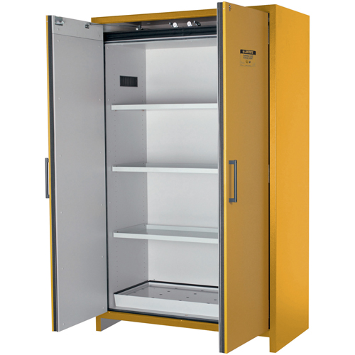 Armoire d'entreposage 90 minutes s&eacute;curitaire et conforme &agrave; la norme EN, 45 gal., 2 Porte(s), 46,97" La x 76,89" h x 24,21" p NRZ Safety Inc.