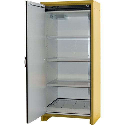30-Minute EN Safety Storage Cabinet, 30 gal., 1 Door, 34.02" W x 76.65" H x 24.21" D NRZ Safety Inc.
