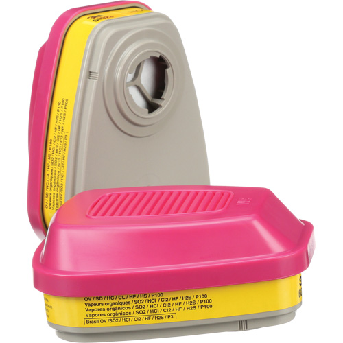 Cartouches pour respirateur s&eacute;rie 6000, Cartouche gaz/vapeur, Vapeurs organiques/Gaz acides/P100 NRZ Safety Inc.