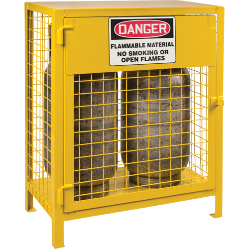 Gas Cylinder Cabinets, 2 Cylinder Capacity, 30" W x 17" D x 37" H, Yellow NRZ Safety Inc.