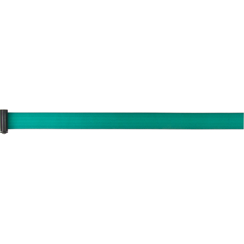 Tape Cassettes for Build-Your-Own Crowd Control Barriers, 7', Green Tape NRZ Safety Inc.