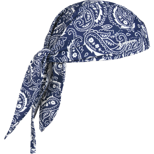 Coiffes de refroidissement Chill-Its 6615, Bleu NRZ Safety Inc.