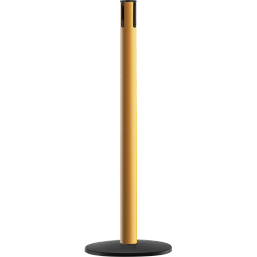 Advance TensaBarrier&reg; - Receiver Post, 36" High, Yellow NRZ Safety Inc.