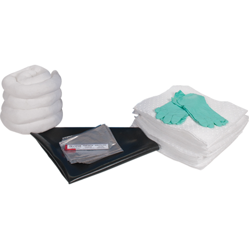 Trousse de rechange pour atelier, 30 gallons, Huile seulement NRZ Safety Inc.