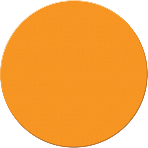 Marqueurs all&eacute;g&eacute;e/5S Armor Stripe, Cercle, 6" lo x 6" la, Orange, Plastique NRZ Safety Inc.