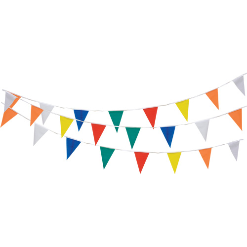 Pennant String, 60' L, Multicolour NRZ Safety Inc.