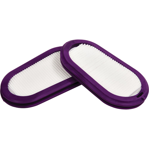 Replacement Filters, Particulate Filter, P100 Filter NRZ Safety Inc.