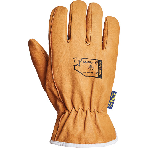 Gants de conducteur Endura, Petit, Paume en Cuir fleur de ch&egrave;vre, Thinsulate NRZ Safety Inc.