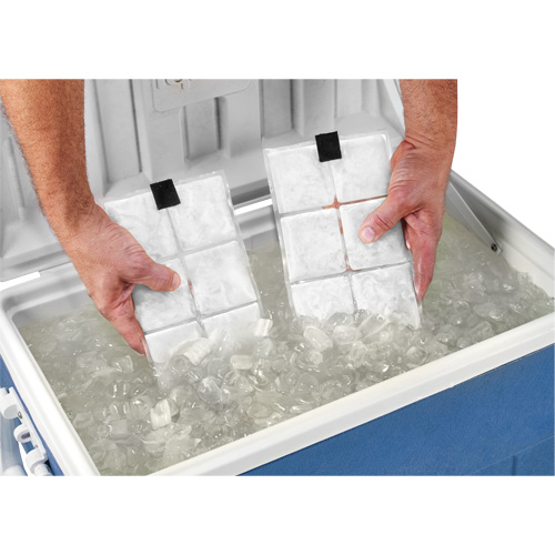 Sachets pour veste de refroidissement &agrave; changement de phase 6260 Chill-Its NRZ Safety Inc.