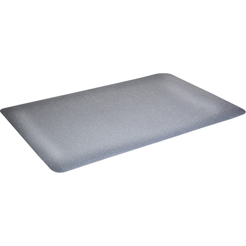 Tapis antimicrobiens WD Foodmaster, Lisse, 3' x 4' x 9/16", Gris, Nitrile/Caoutchouc NRZ Safety Inc.