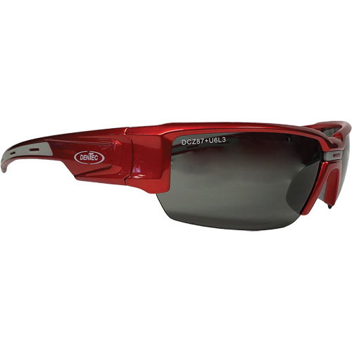Lunettes de s&eacute;curit&eacute; Hartley, Lentille Gris, Polaris&eacute;, R&eacute;pond ou surpasse la norme CSA Z94.3 NRZ Safety Inc.
