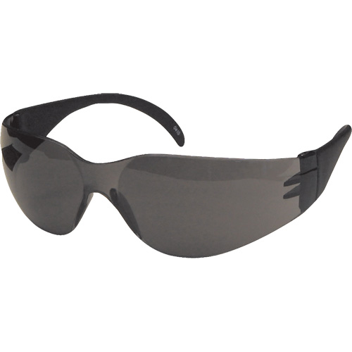 CeeTec Safety Glasses, Grey Lens, Anti-Scratch, Meets/Exceeds CSA Z94.3 NRZ Safety Inc.