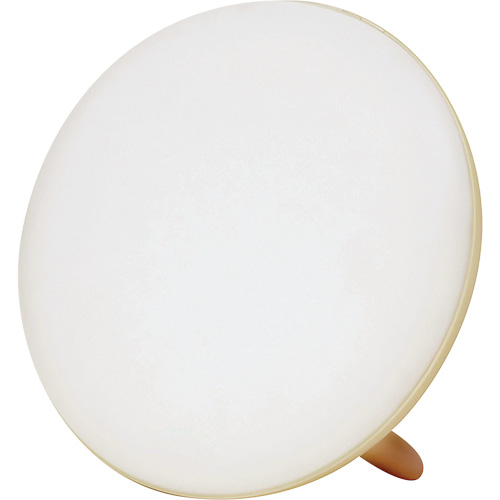 Lampe &agrave; luminoth&eacute;rapie pour le traitement de la d&eacute;pression saisonni&egrave;re NRZ Safety Inc.