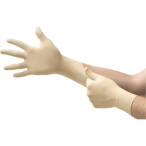 MICROFLEX&reg; Ultra One&reg; Examination Gloves, 10/9.5/X-Large, Latex, 9.8-mil, Powder-Free, Natural, Class 2 NRZ Safety Inc.