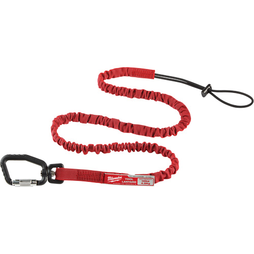 Extended Reach Locking Tool Lanyard, Bungee, Carabiner/Loop NRZ Safety Inc.