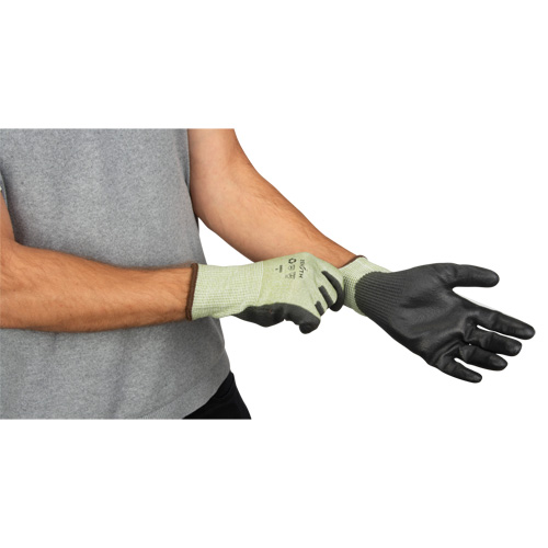 Gants &eacute;lastiques &eacute;cologiques sans coutures r&eacute;sistants &agrave; la coupe, Taille 8, Calibre 13, Rev&ecirc;tement Polyur&eacute;thane, Enveloppe en PEHP/rPET, ASTM ANSI niveau A4 NRZ Safety Inc.