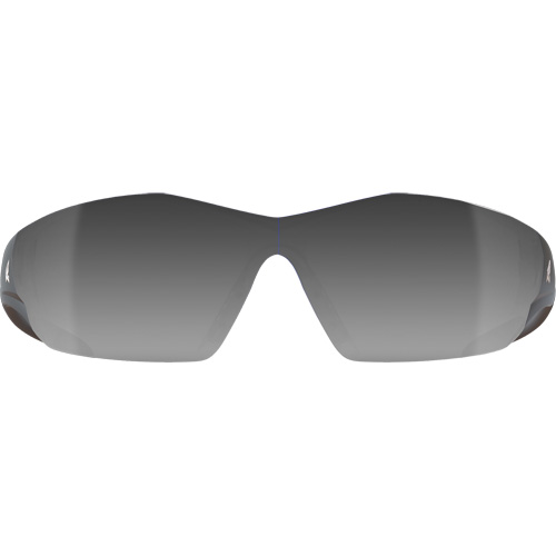 Lunettes de s&eacute;curit&eacute; Delano G2, Lentille Miroir argent&eacute;, Anti-&eacute;gratignures, ANSI Z87+/MCEPS GL-PD 10-12/R&eacute;pond ou surpasse la norme CSA Z94.3 NRZ Safety Inc.