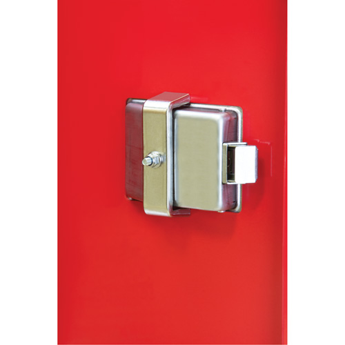 Armoires ext&eacute;rieures robustes pour extincteurs, 14" la x 28" h x 10" p NRZ Safety Inc.