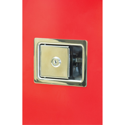 Armoires ext&eacute;rieures robustes pour extincteurs, 14" la x 28" h x 10" p NRZ Safety Inc.