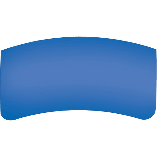 Lentille ext&eacute;rieure Bullard GenVX PETG NRZ Safety Inc.