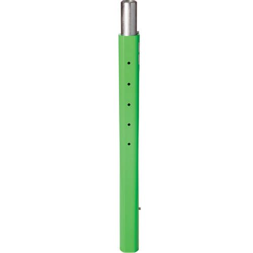 Rallonge de m&acirc;t de potence inf&eacute;rieur de 114,3 cm pour espace clos DBI-SALA NRZ Safety Inc.
