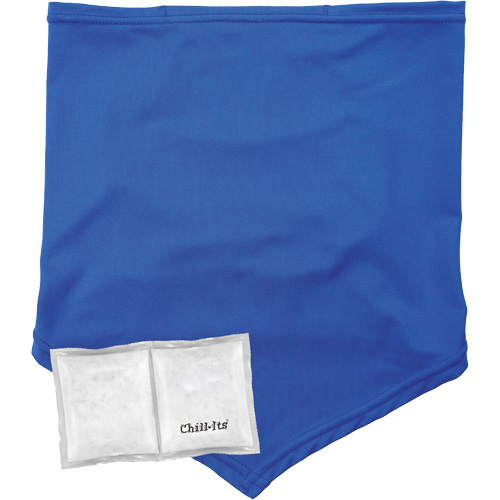 Cache-cou/bandana de refroidissement Chill-Its 6482 avec sachet r&eacute;frig&eacute;rant &agrave; changement de phase r&eacute;utilisable, grand/tr&egrave;s-grand, Bleu NRZ Safety Inc.