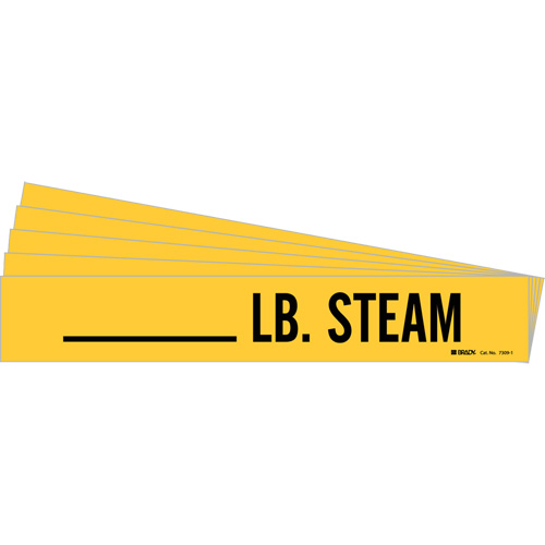 Marqueurs de tuyau LB. Steam, Autocollant, 2-1/4" h x 2-3/4" la, Noir sur jaune NRZ Safety Inc.