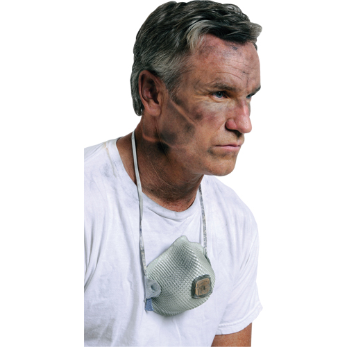 2700 Particulate Respirators, N95, NIOSH Certified, Large/Medium NRZ Safety Inc.