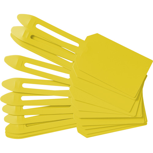 &eacute;tiquettes de cadenassage vierges en plastique, Plastique, 3-1/4" la x 5-4/5" h, Vierge NRZ Safety Inc.