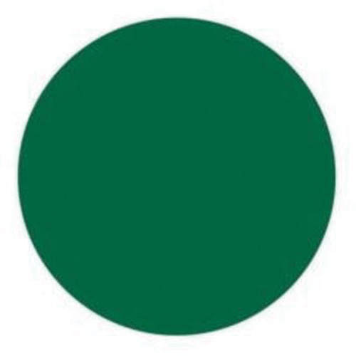 Round Write-On Labels, Circle, 1.5" L x 1.5" W, Green NRZ Safety Inc.