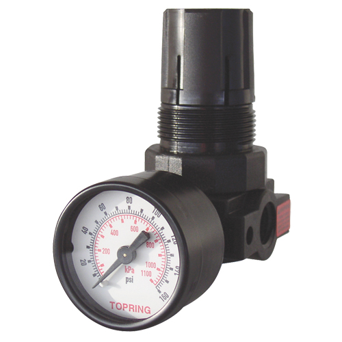 Mini Regulators, 1/4" NPT, 165 PSI Max. PSI, Modular NRZ Safety Inc.