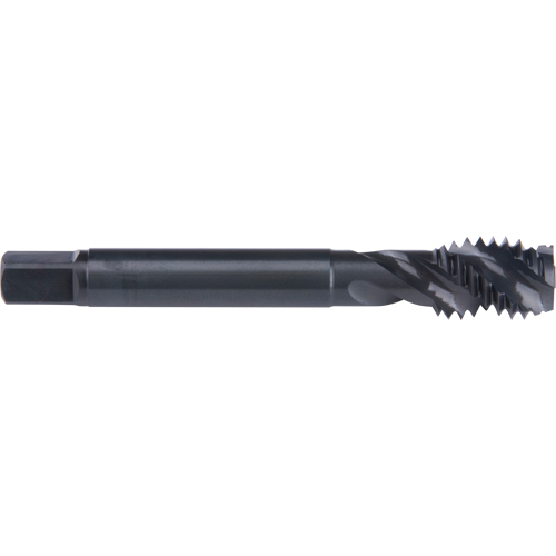 Taraud &agrave; cannelure en spirale 45°, Acier rapide au cobalt, Filet de 3/4"-10, 4-1/4" l NRZ Safety Inc.