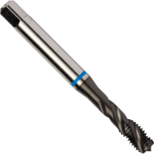 Taraud &agrave; cannelures h&eacute;licoidales Blue Shark, Acier rapide au cobalt, Filet de 1/4"-28, 3,15" l NRZ Safety Inc.