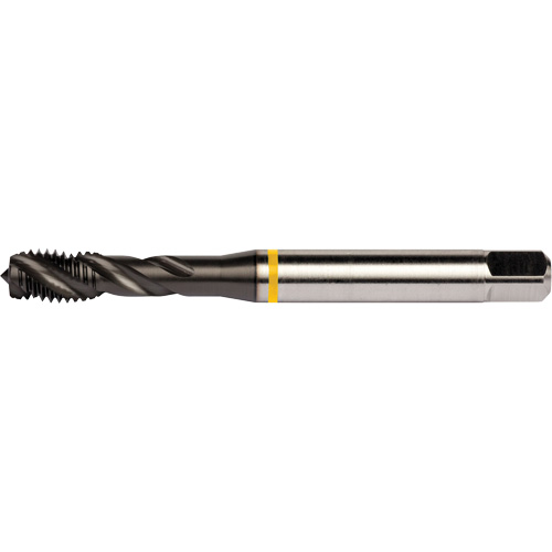 Taraud &agrave; goujures h&eacute;licoidales Yellow Shark, Acier rapide au cobalt, Filet de 1/4"-20, 3,15" l NRZ Safety Inc.