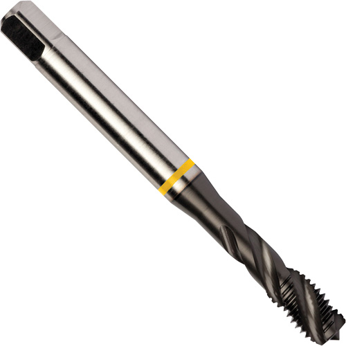 Taraud &agrave; goujures h&eacute;licoidales Yellow Shark, Acier rapide au cobalt, Filet de 1/4"-20, 3,15" l NRZ Safety Inc.