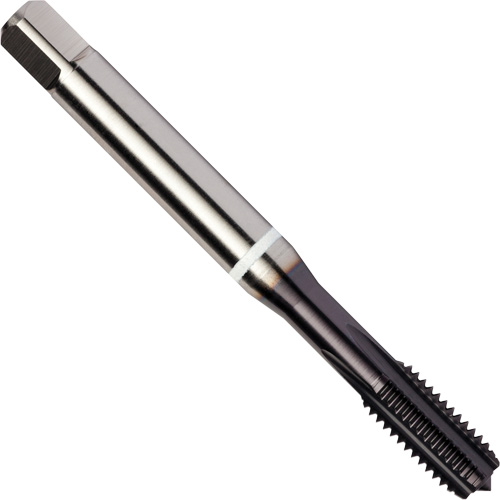 White Shark Straight Flute Tap, High Speed Cobalt, 1/4"-20 Thread NRZ Safety Inc.