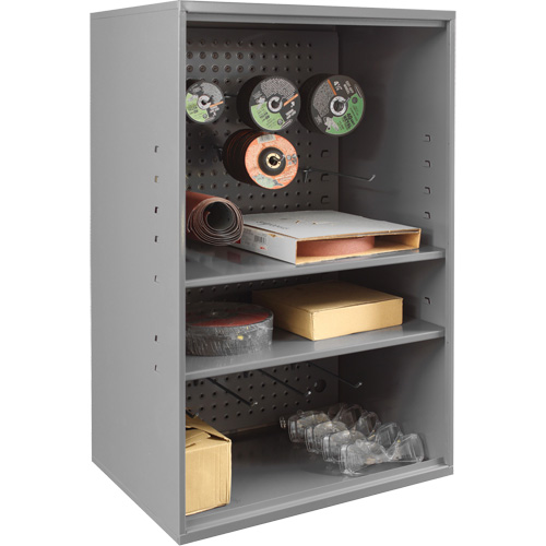 Abrasive Storage Cabinet with Pegboard, Steel, 19-7/8" x 14-1/4" x 32-3/4", Grey NRZ Safety Inc.