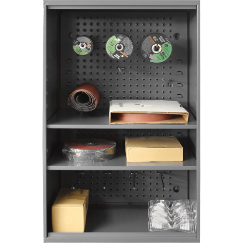 Abrasive Storage Cabinet with Pegboard, Steel, 19-7/8" x 14-1/4" x 32-3/4", Grey NRZ Safety Inc.