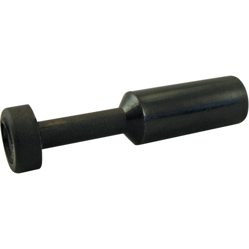 P.t.c. Plug NRZ Safety Inc.