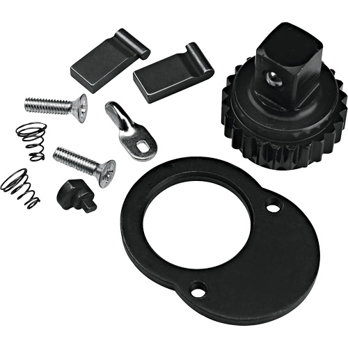 Ratchet Repair Kit NRZ Safety Inc.