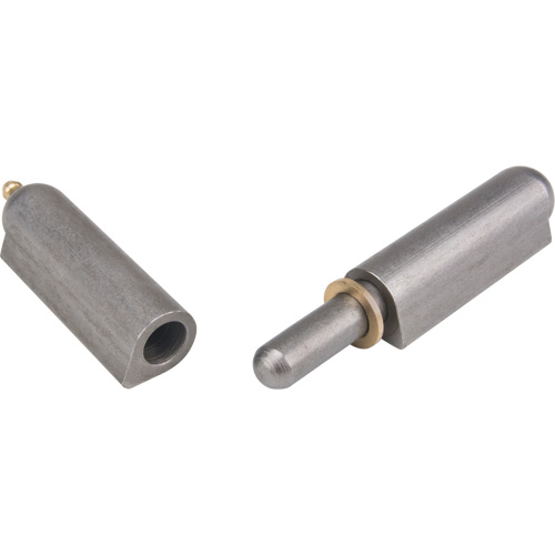 Weld-On Hinge, 0.787" Dia. x 5.906" L, Mild Steel w/Fixed Steel Pin NRZ Safety Inc.