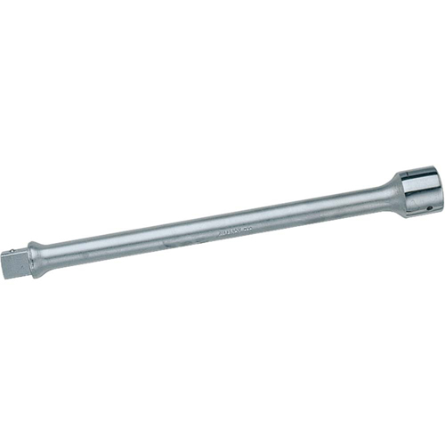 Rallonge, Prise 1", 8-3/20" lo NRZ Safety Inc.