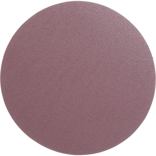 PSA Cloth Disc 348D, 12" Dia., 60 Grit, Aluminum Oxide, X-Weight NRZ Safety Inc.