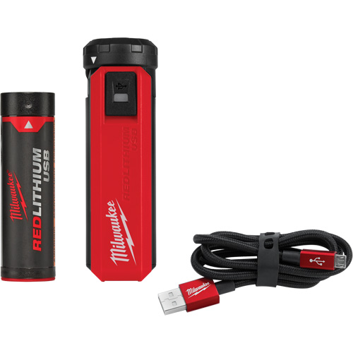 Trousse d'alimentation et de chargeur USB Redlithium, 4 V, Lithium-ion NRZ Safety Inc.